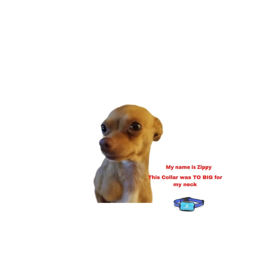 Anti barking collar NO SHOCK bark collar BLUE   EXTRA BATTERY