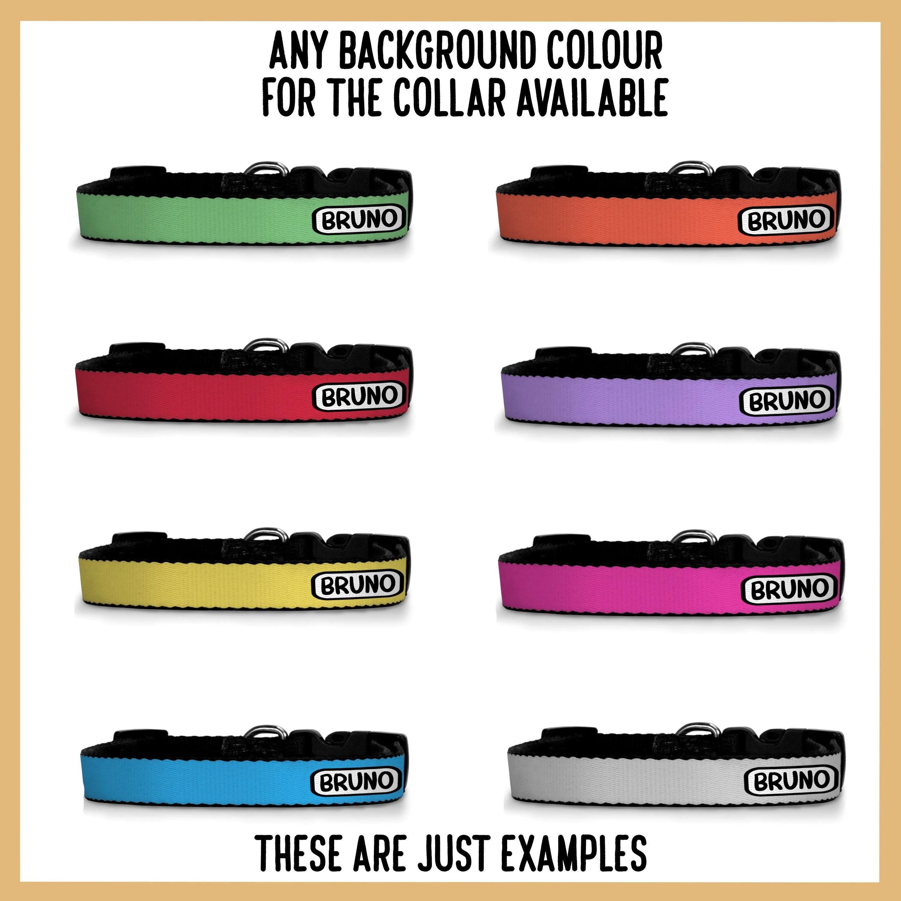 Chihuahua Collar