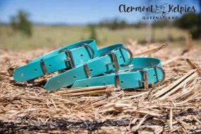 Dog Collar PVC 32mm x 70cm - Ocean Shimmer