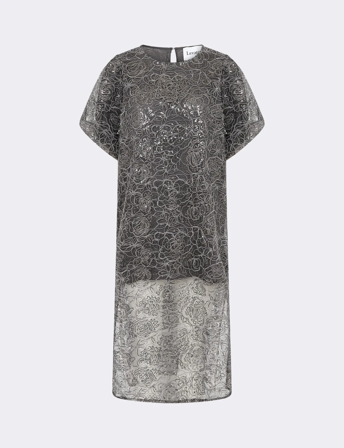 LR-KAROLINA 1 Dress Dark brown