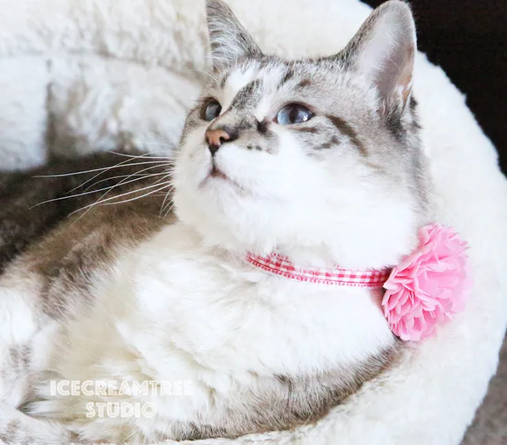 PomPom Pastel Pink Bloom Collar Slide On - Small Flower Collar Accessory