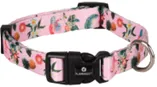 SUE COLLAR XS 20-35cm – 10mm