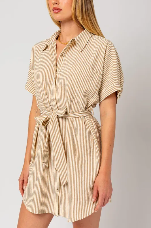 The One Shirt Dress