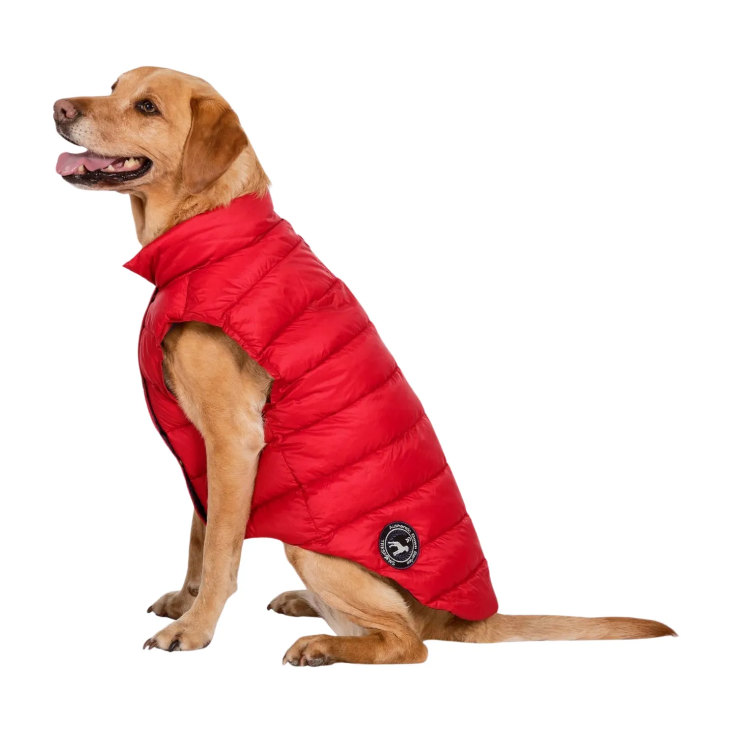 Trespaws Dogby Dog Down Jacket