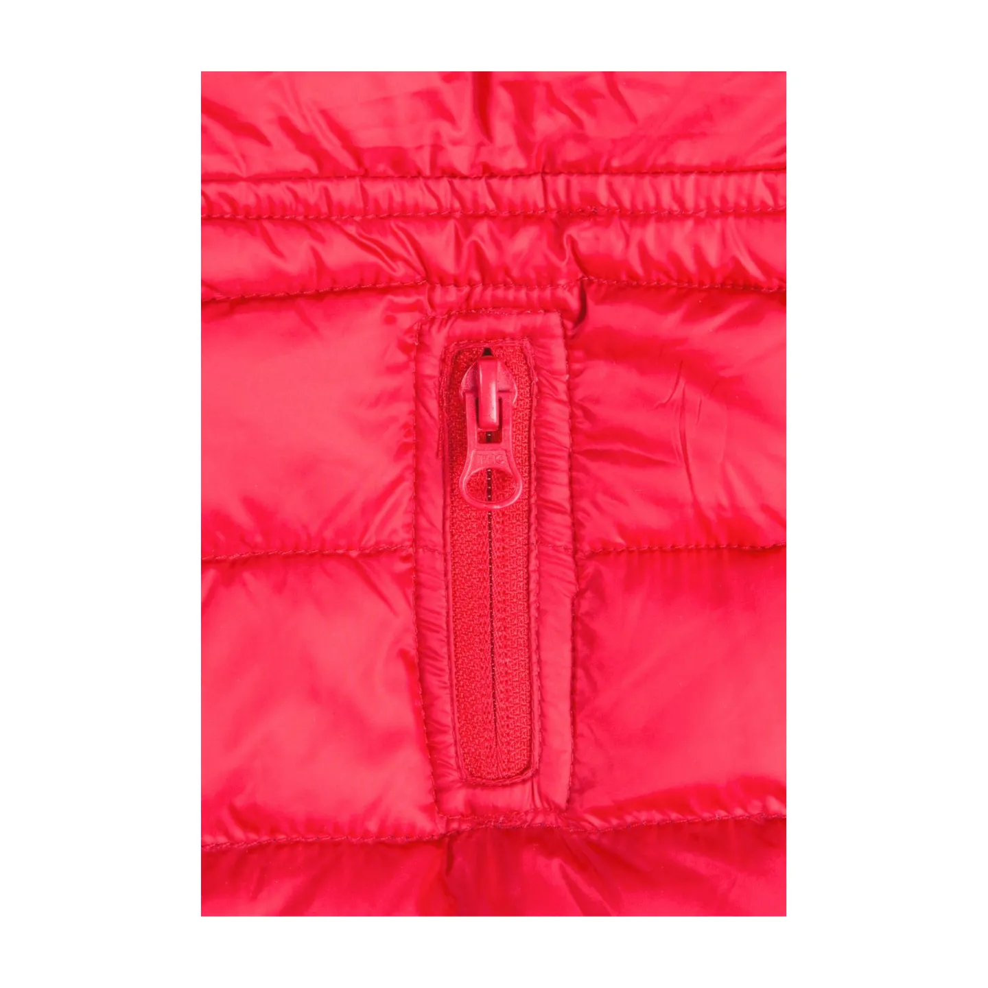 Trespaws Dogby Dog Down Jacket