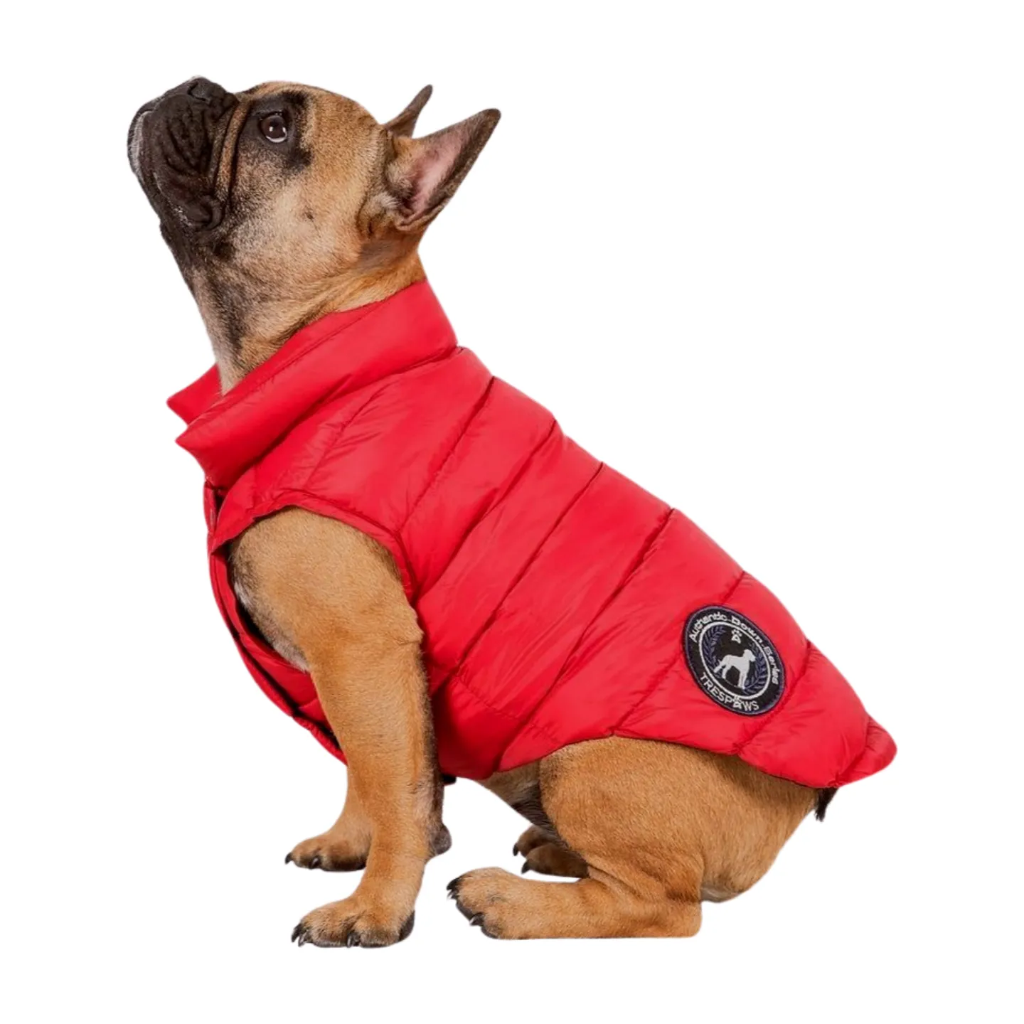 Trespaws Dogby Dog Down Jacket
