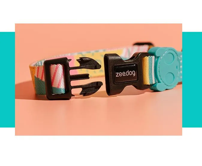 Zee.Dog Salina Collar